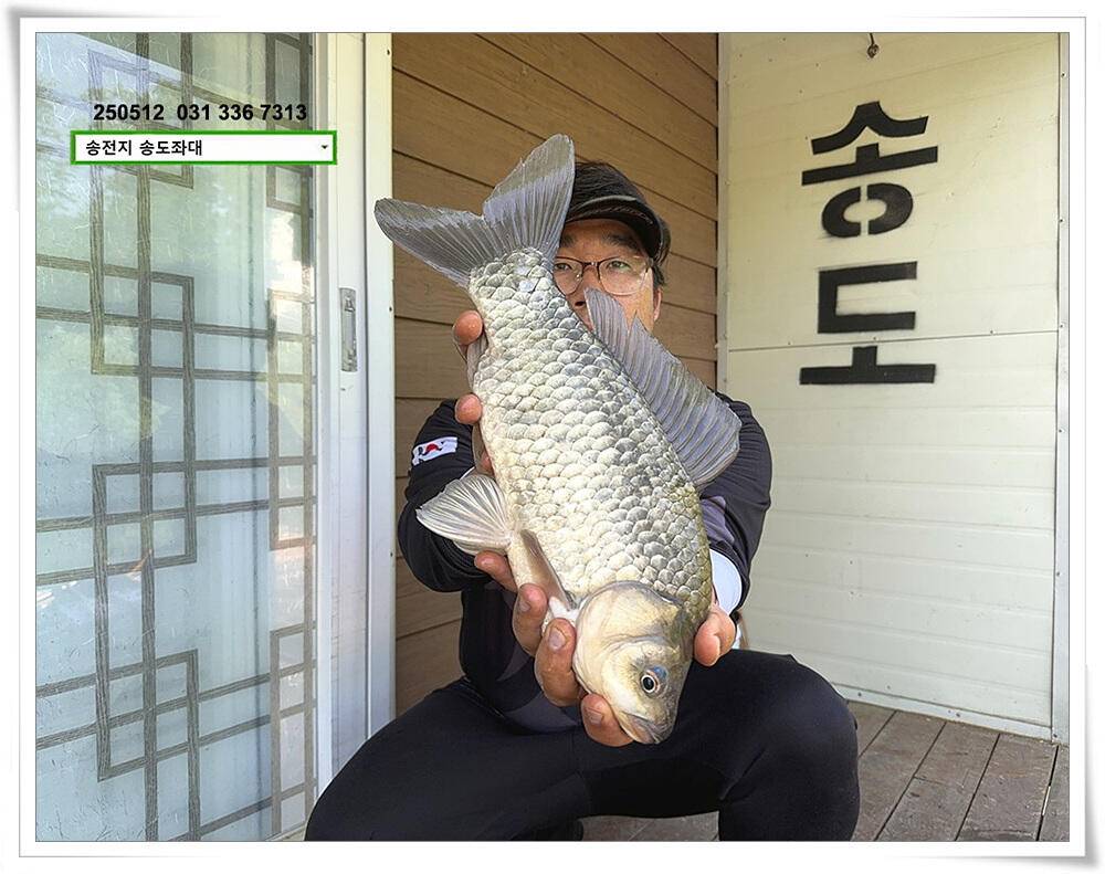 배수기 4짜 (유료터정보 - 유료터점주조황)