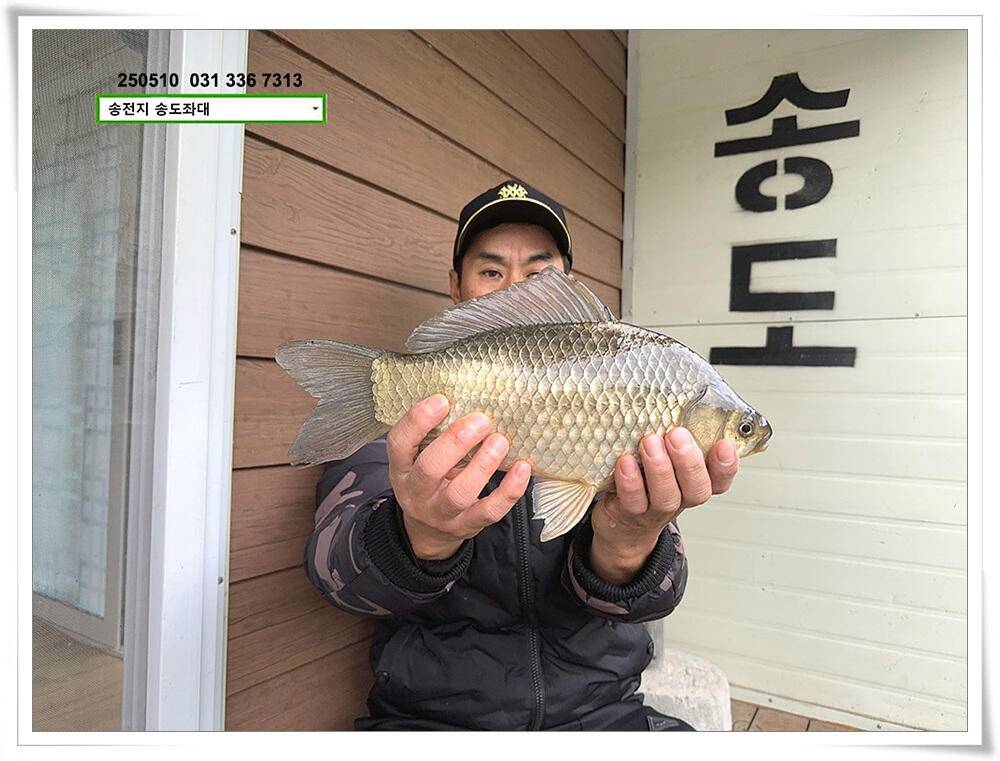 봄 비에 허리급 (유료터정보 - 유료터점주조황)