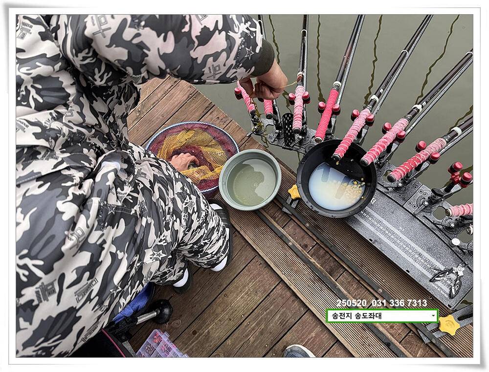 주 초 조황 (유료터정보 - 유료터점주조황)