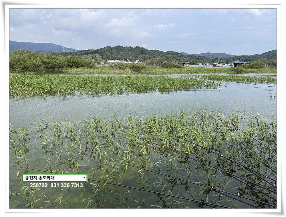 주 초 조황 (유료터정보 - 유료터점주조황)