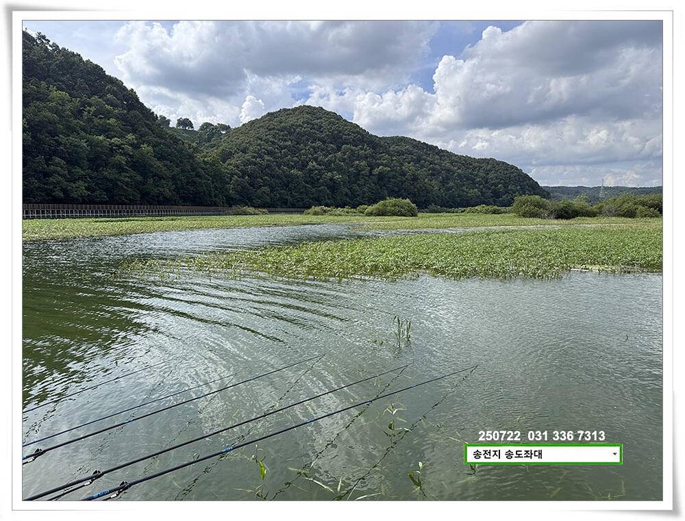 주 초 조황 (유료터정보 - 유료터점주조황)