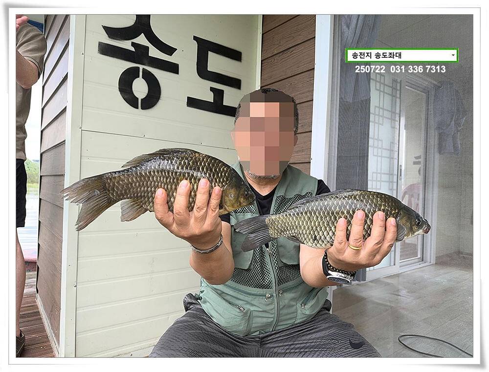 주 초 조황 (유료터정보 - 유료터점주조황)