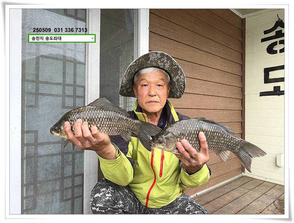 봄 비에 허리급 (유료터정보 - 유료터점주조황)
