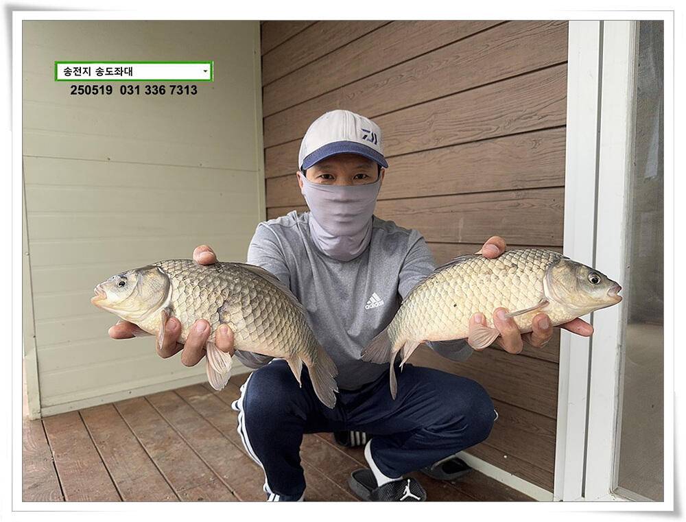 주 초 조황 (유료터정보 - 유료터점주조황)