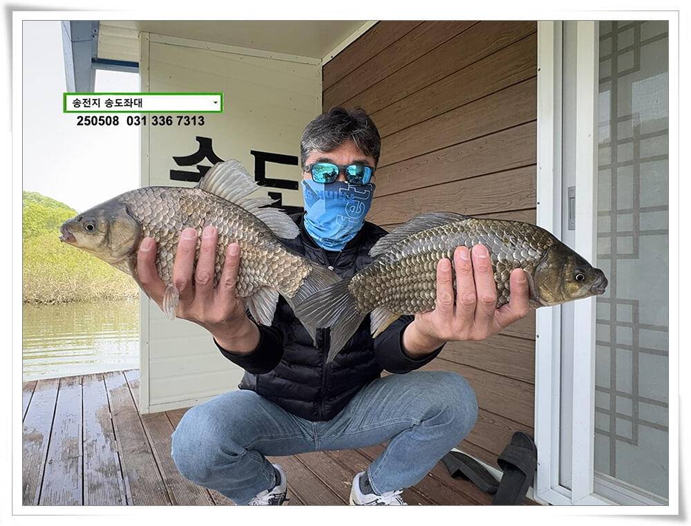 막바지 산란 (유료터정보 - 유료터점주조황)