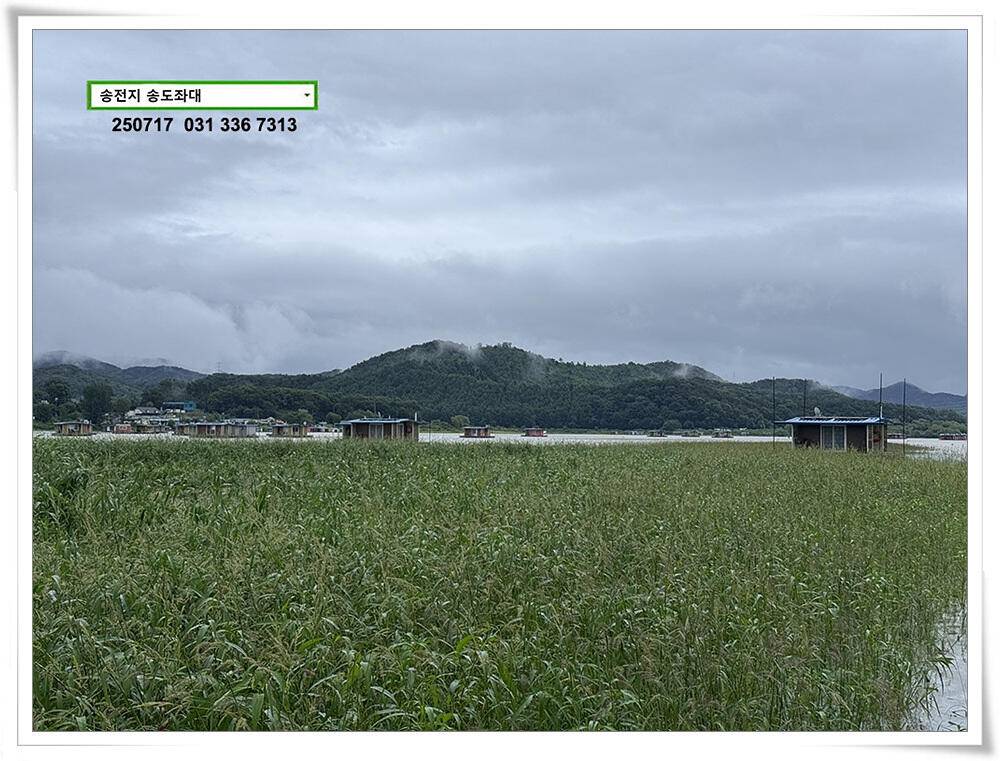 높아진 수위 (유료터정보 - 유료터점주조황)