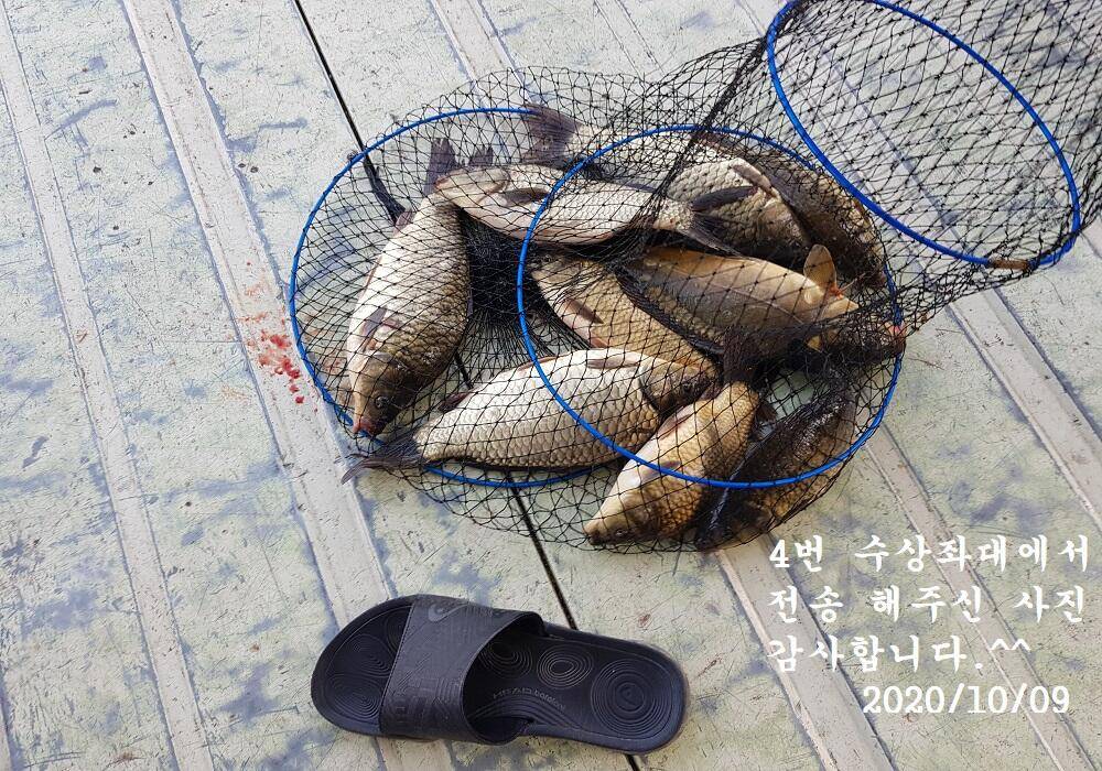 아산신수지 10월 9일과10일 오전 조황입니다 (유료터정보 - 유료터점주조황)