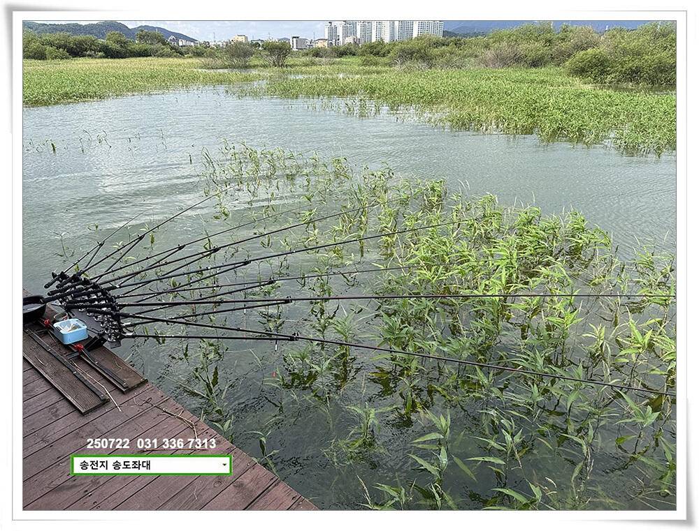 주 초 조황 (유료터정보 - 유료터점주조황)