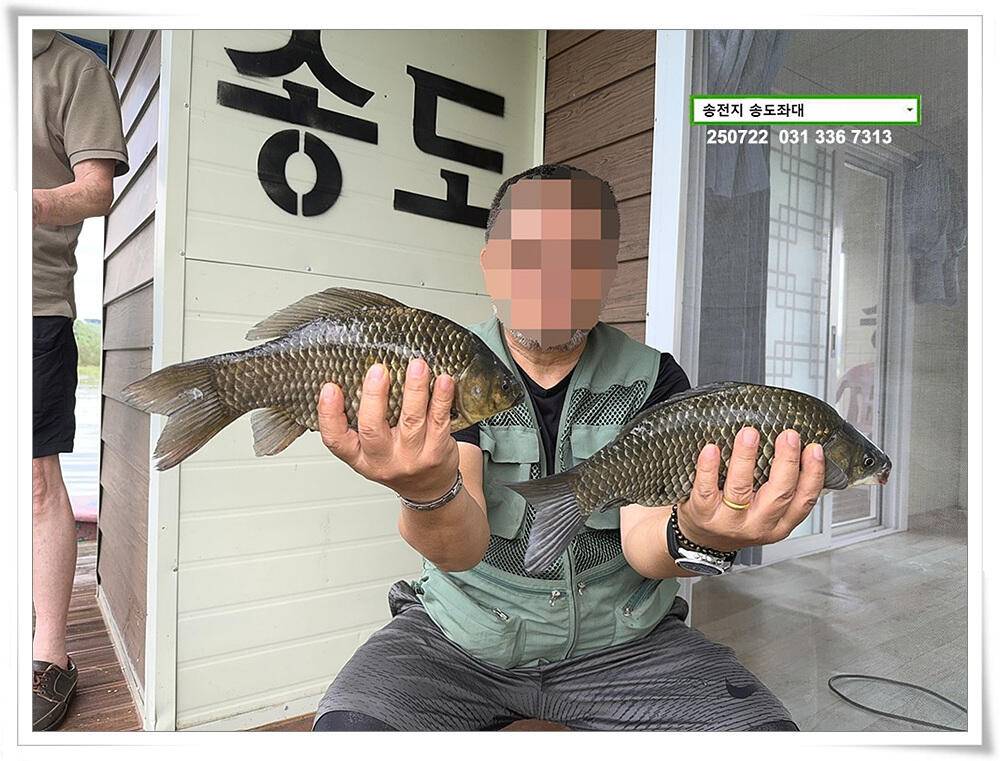 주 초 조황 (유료터정보 - 유료터점주조황)