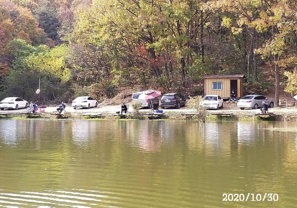 아산신수지 11월 첫 주말 화보입니다 (유료터정보 - 유료터점주조황)