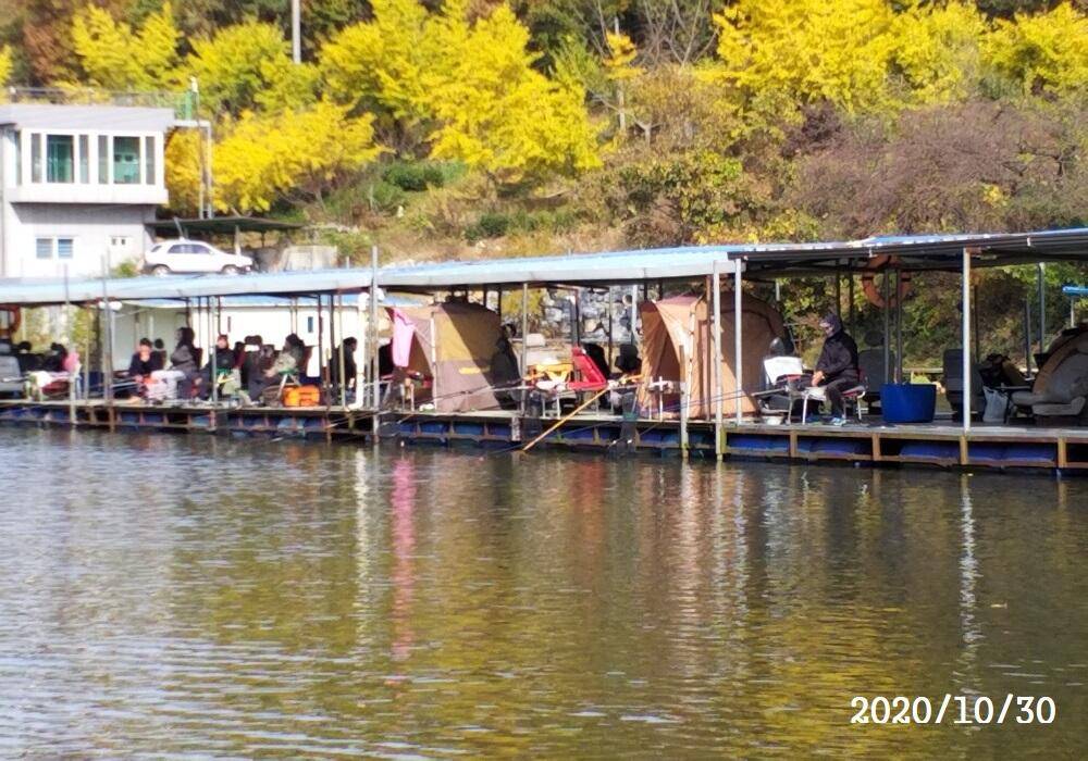 아산신수지 11월 첫 주말 화보입니다 (유료터정보 - 유료터점주조황)