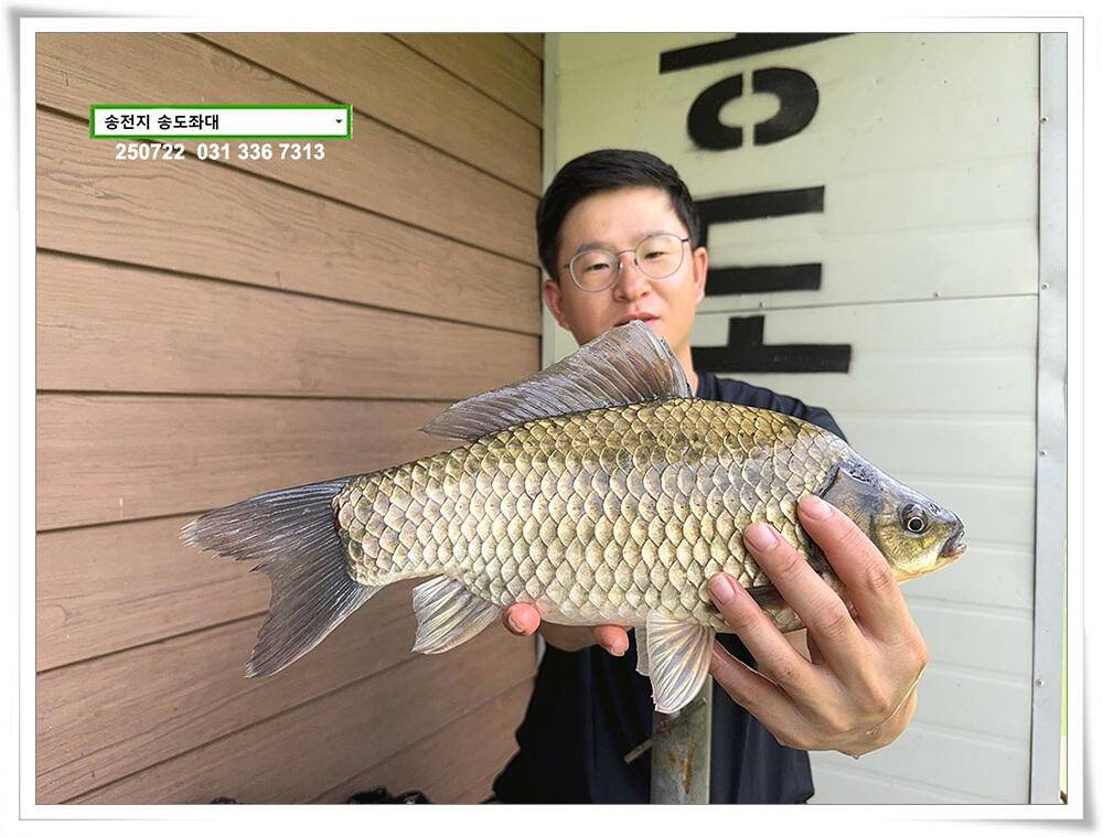주 초 조황 (유료터정보 - 유료터점주조황)