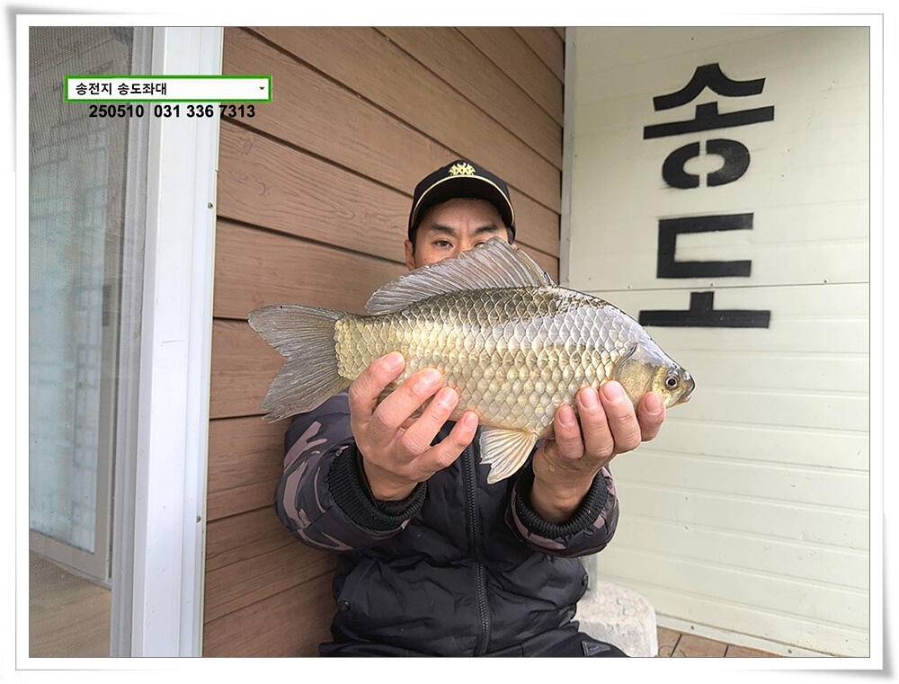 봄 비에 허리급 (유료터정보 - 유료터점주조황)