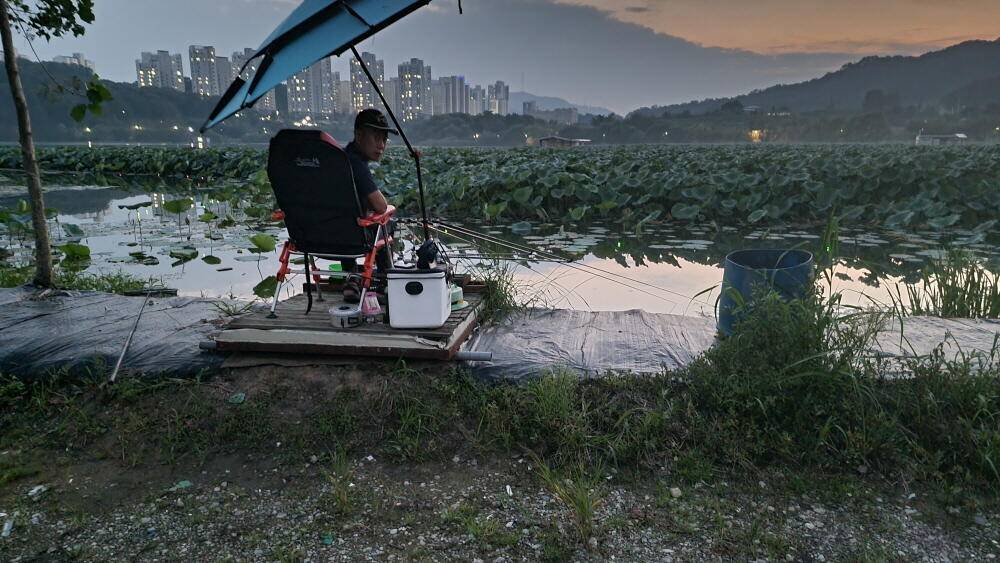 아산 명품 월랑낚시터 9월 두번째 조황소식입니다 (유료터정보 - 유료터점주조황)