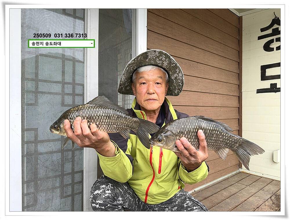 봄 비에 허리급 (유료터정보 - 유료터점주조황)