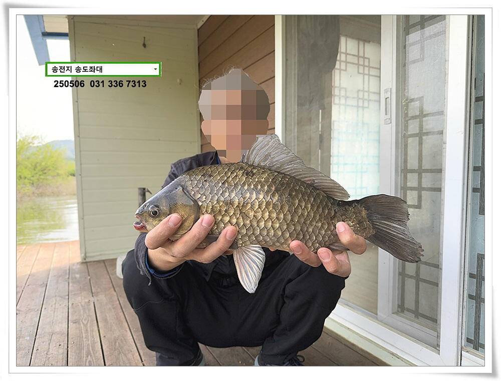 연휴 조황 (유료터정보 - 유료터점주조황)