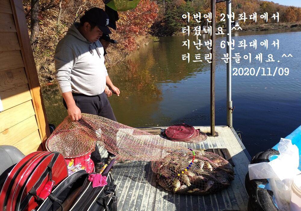 아산신수지 11월 셋째 주말 화보입니다 (유료터정보 - 유료터점주조황)