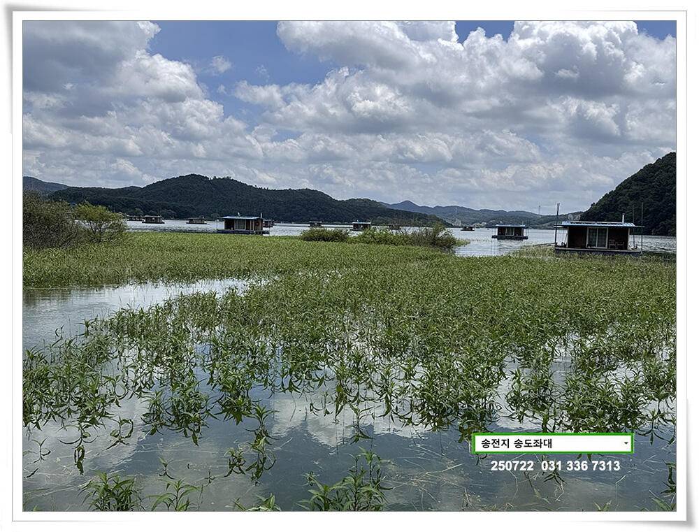 주 초 조황 (유료터정보 - 유료터점주조황)