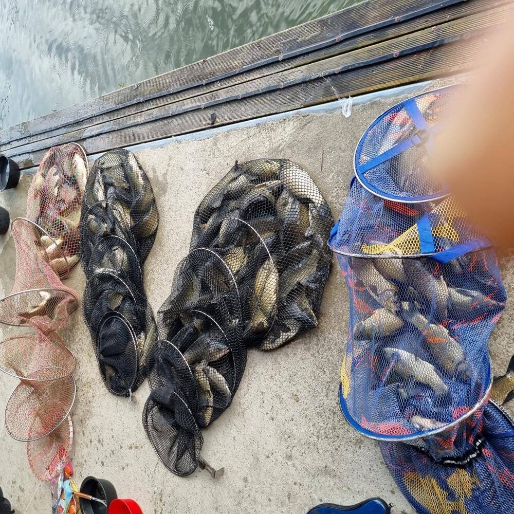반제낚시터 조황정보입니다 (유료터정보 - 유료터점주조황)