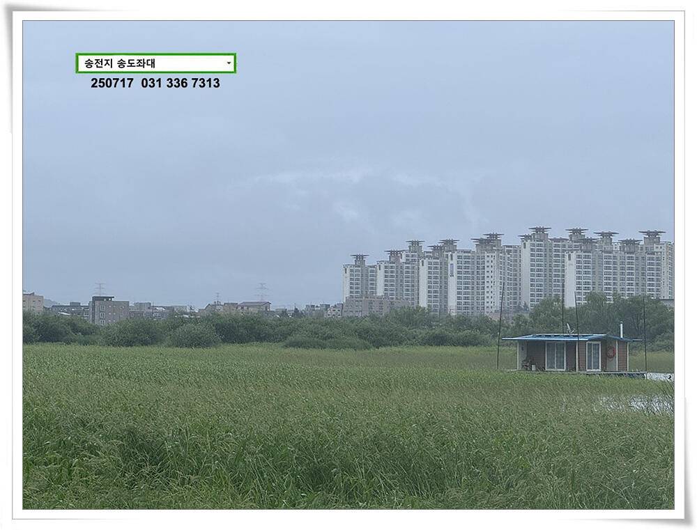 높아진 수위 (유료터정보 - 유료터점주조황)