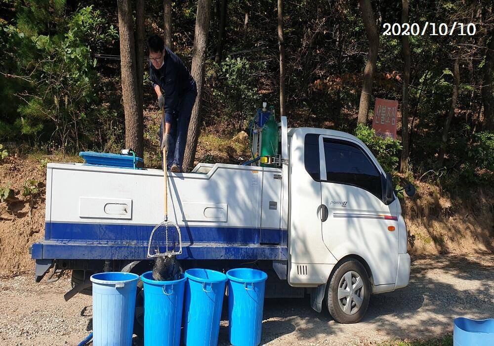 아산신수지 10월 9일과10일 오전 조황입니다 (유료터정보 - 유료터점주조황)