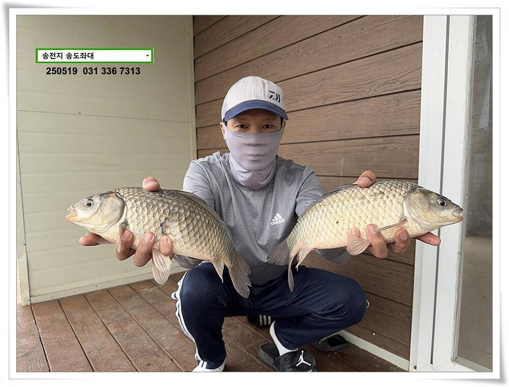 주 초 조황 (유료터정보 - 유료터점주조황)