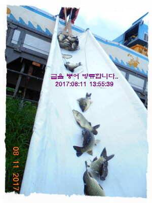 도심속의 작은 쉼터 화성 관리 낚시터입니다밤 조황 대단 합니다 (유료터정보 - 유료터점주조황)