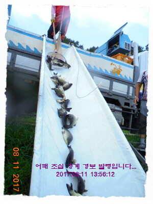 도심속의 작은 쉼터 화성 관리 낚시터입니다밤 조황 대단 합니다 (유료터정보 - 유료터점주조황)