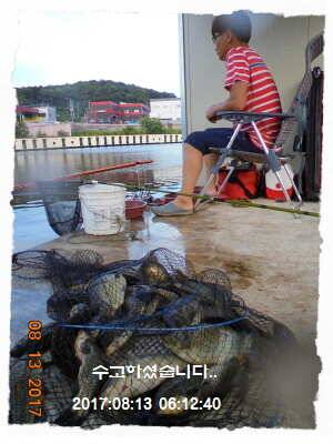 도심속의 작은 쉼터 화성 관리낚시터입니다너무 너무 좋았습니다 (유료터정보 - 유료터점주조황)