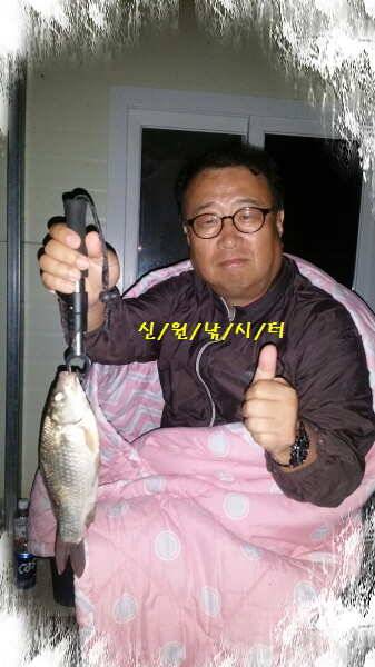 신원낚시터9월넷쨋주 48센티 토종대물 조황소식 (유료터정보 - 유료터점주조황)