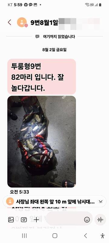 휴가철 반제지 목요일조황정보입니다 (유료터정보 - 유료터점주조황)