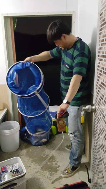 물 맑고 힘 좋은 용인 삼인 낚시터 (유료터정보 - 유료터점주조황)