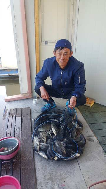 물 맑고 힘 좋은 용인 삼인 낚시터 주말 조황 (유료터정보 - 유료터점주조황)