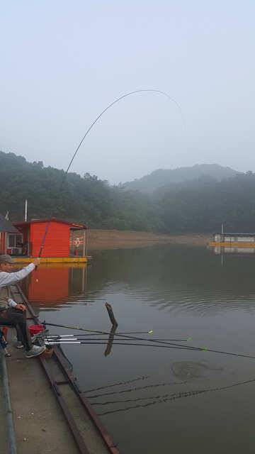 물 맑고 힘 좋은 용인 삼인 낚시터 (유료터정보 - 유료터점주조황)