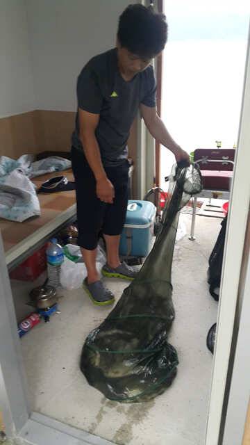 가족의 쉼터 용인 삼인낚시터로 휴가 오세요 (유료터정보 - 유료터점주조황)