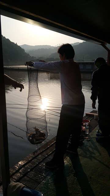 물맑고 힘좋은 용인 삼인낚시터 주말 대박 조황 (유료터정보 - 유료터점주조황)
