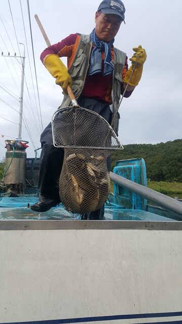 fish_pay_10202_125642_32958.jpg