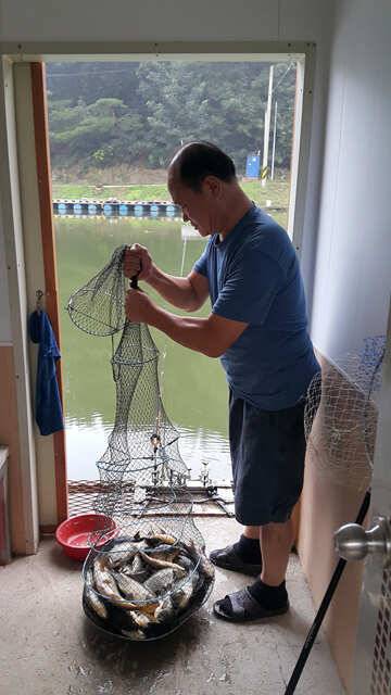 천하장사 붕어손맛용인 삼인낚시터 (유료터정보 - 유료터점주조황)
