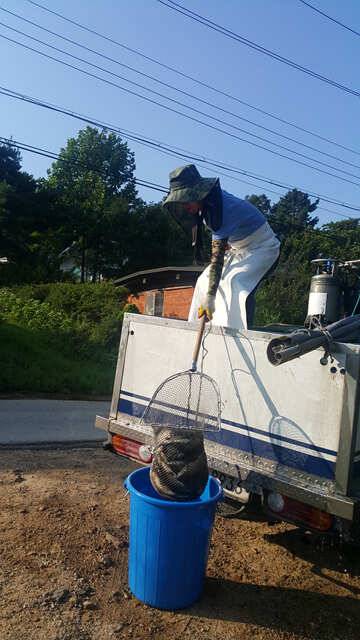 사이다조황용인삼인낚시터 (유료터정보 - 유료터점주조황)