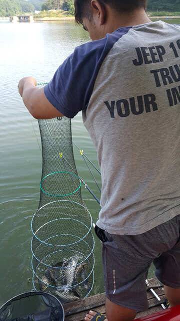 fish_pay_3a164_032002_81223.jpg