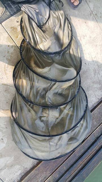 fish_pay_3b4c2_022401_10080.jpg