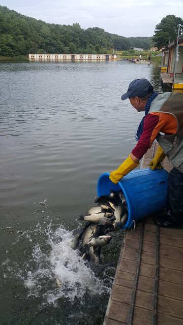 fish_pay_3cc7f_125654_20812.jpg
