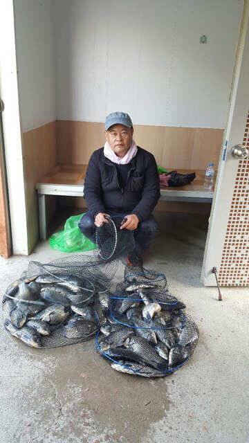 물 맑고 힘 좋은 용인 삼인 낚시터 조황용인 삼인낚시터 (유료터정보 - 유료터점주조황)