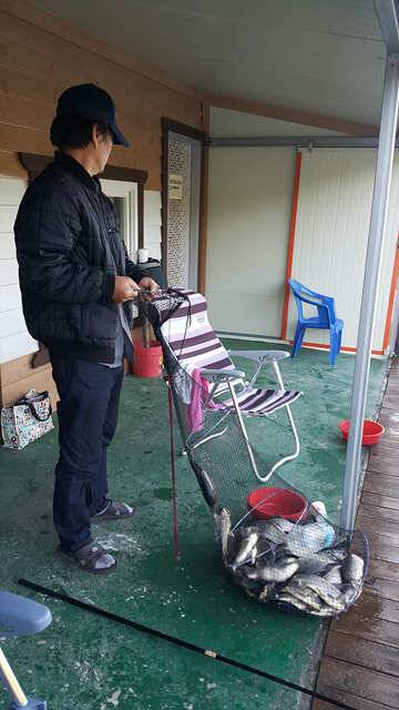 가장 이상적인 조황용인삼인낚시터 (유료터정보 - 유료터점주조황)