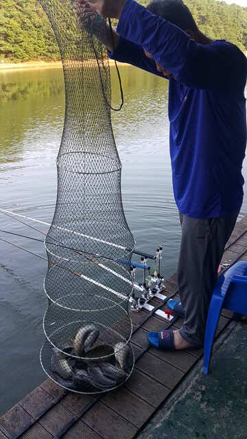 fish_pay_dc963_032012_72862.jpg