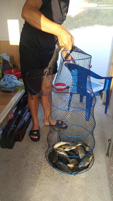 fish_pay_f1e9e_031953_33080.jpg