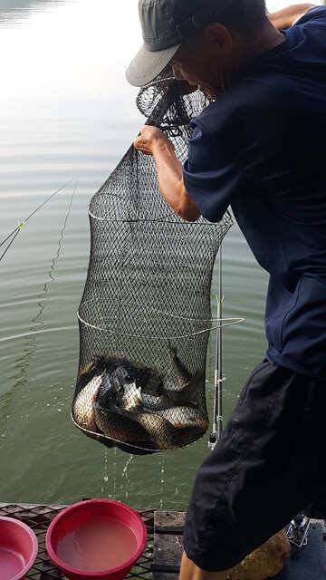 fish_pay_f4ee2_031958_58624.jpg