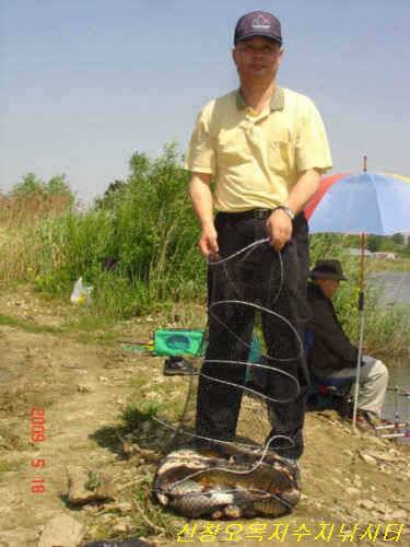 대박으로 이어진 조황 (유료터정보 - 유료터점주조황)