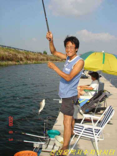 어제에 이은 토종잉어 소식 (유료터정보 - 유료터점주조황)