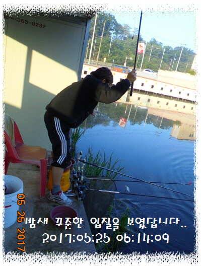 도ㅛ심속의 작은 쉼터 화성 관리 낚시터입니다좋습니다 (유료터정보 - 유료터점주조황)